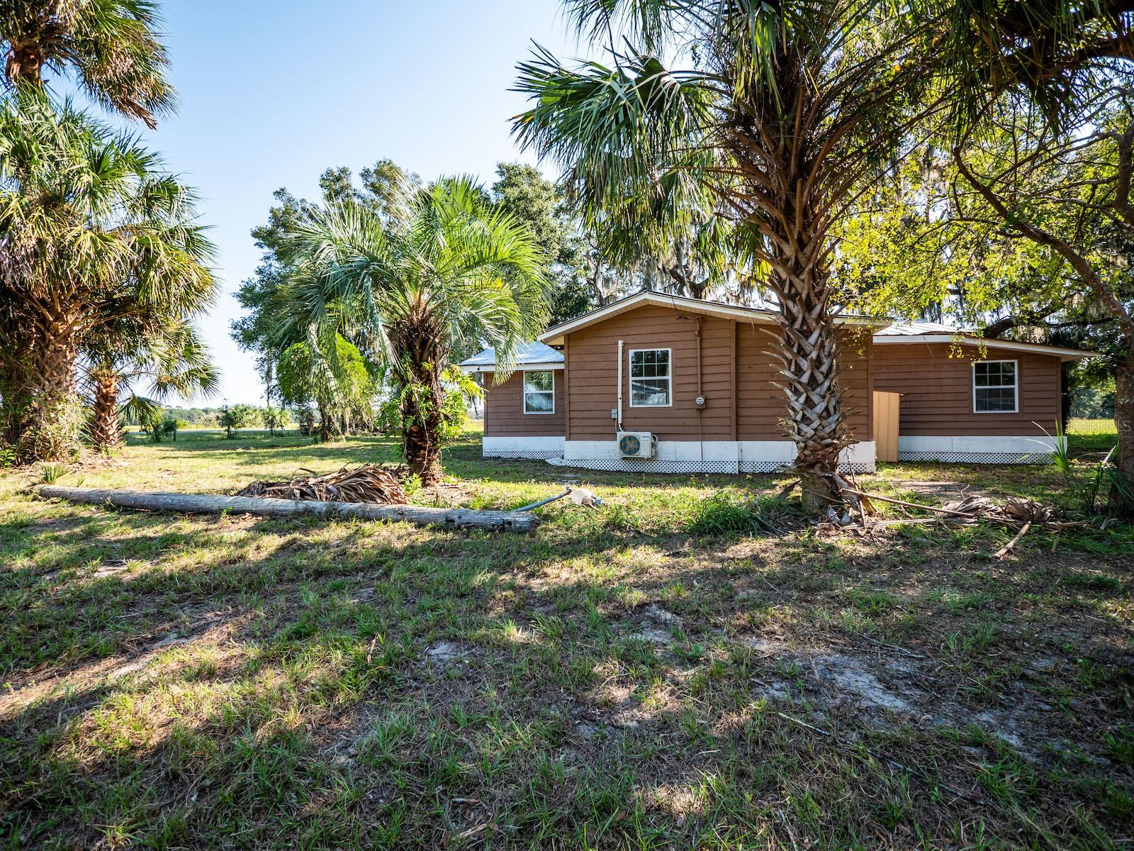 12146 E HIGHWAY 318, FORT MC COY, FL — photo 23