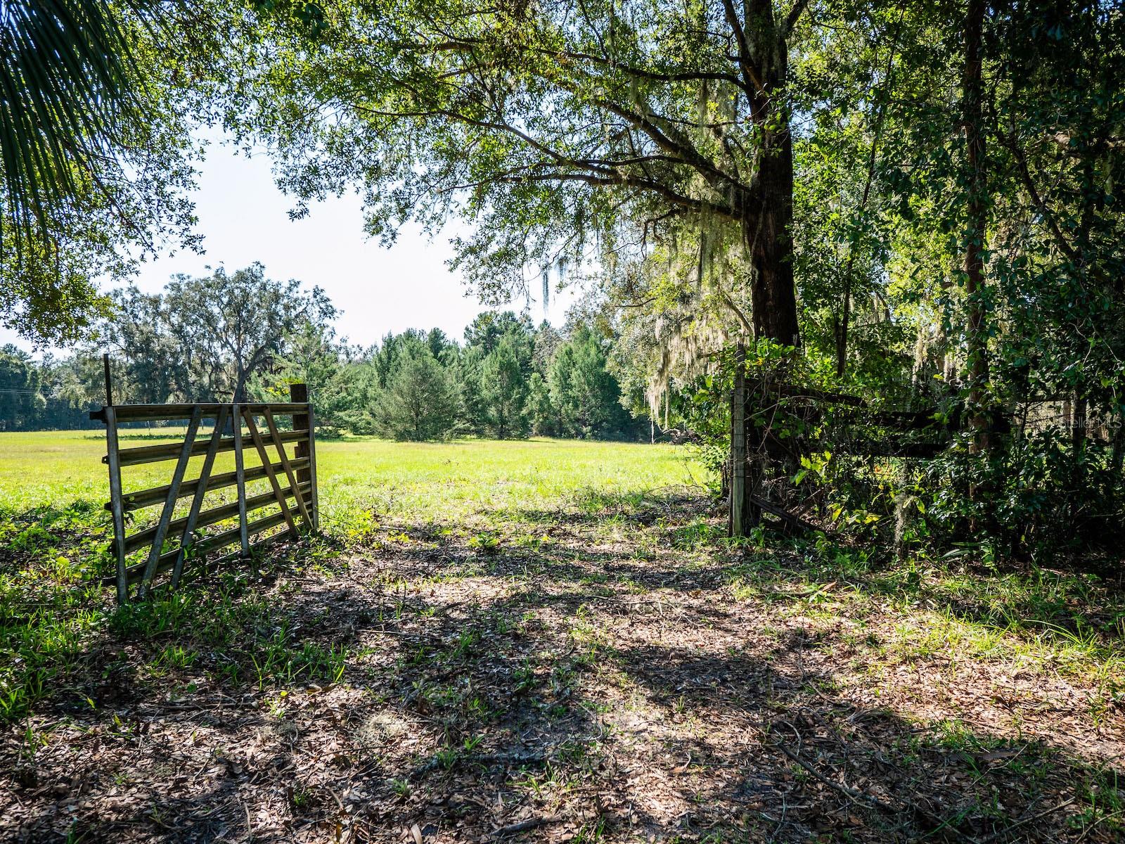 12146 E HIGHWAY 318, FORT MC COY, FL — photo 39