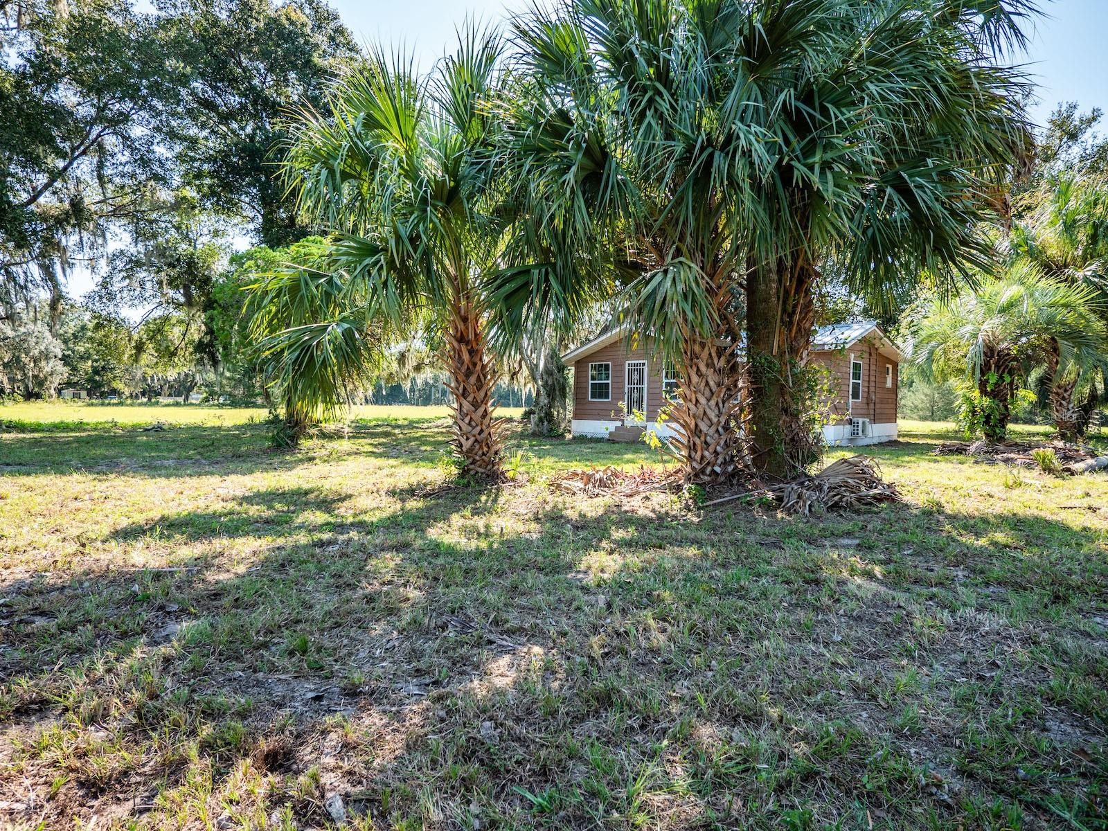 12146 E HIGHWAY 318, FORT MC COY, FL — photo 40