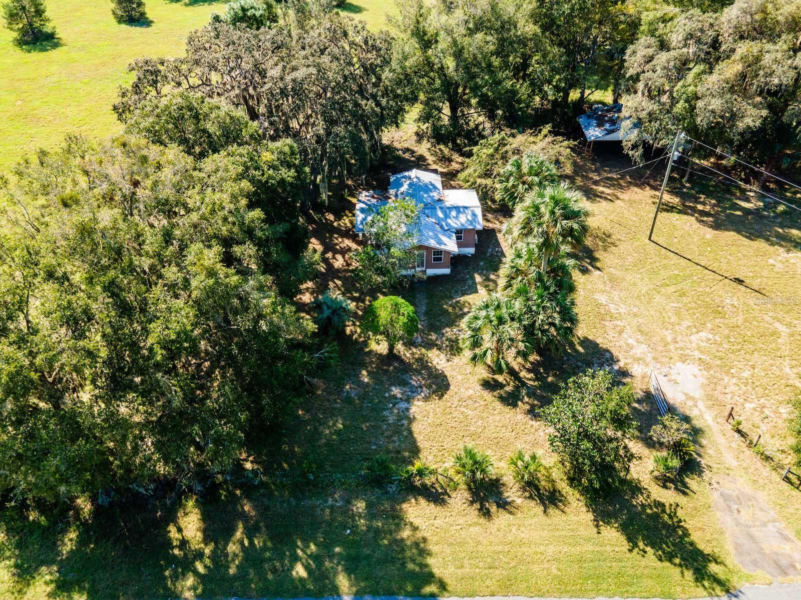 12146 E HIGHWAY 318, FORT MC COY, FL — photo 45