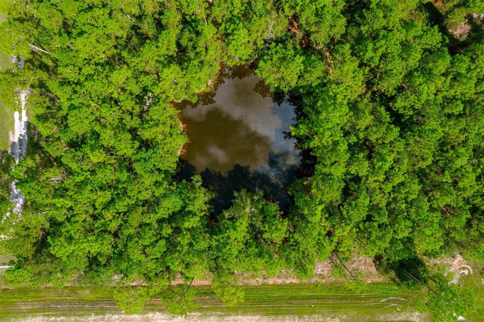 0 SR 40, ORMOND BEACH, FL — photo 12