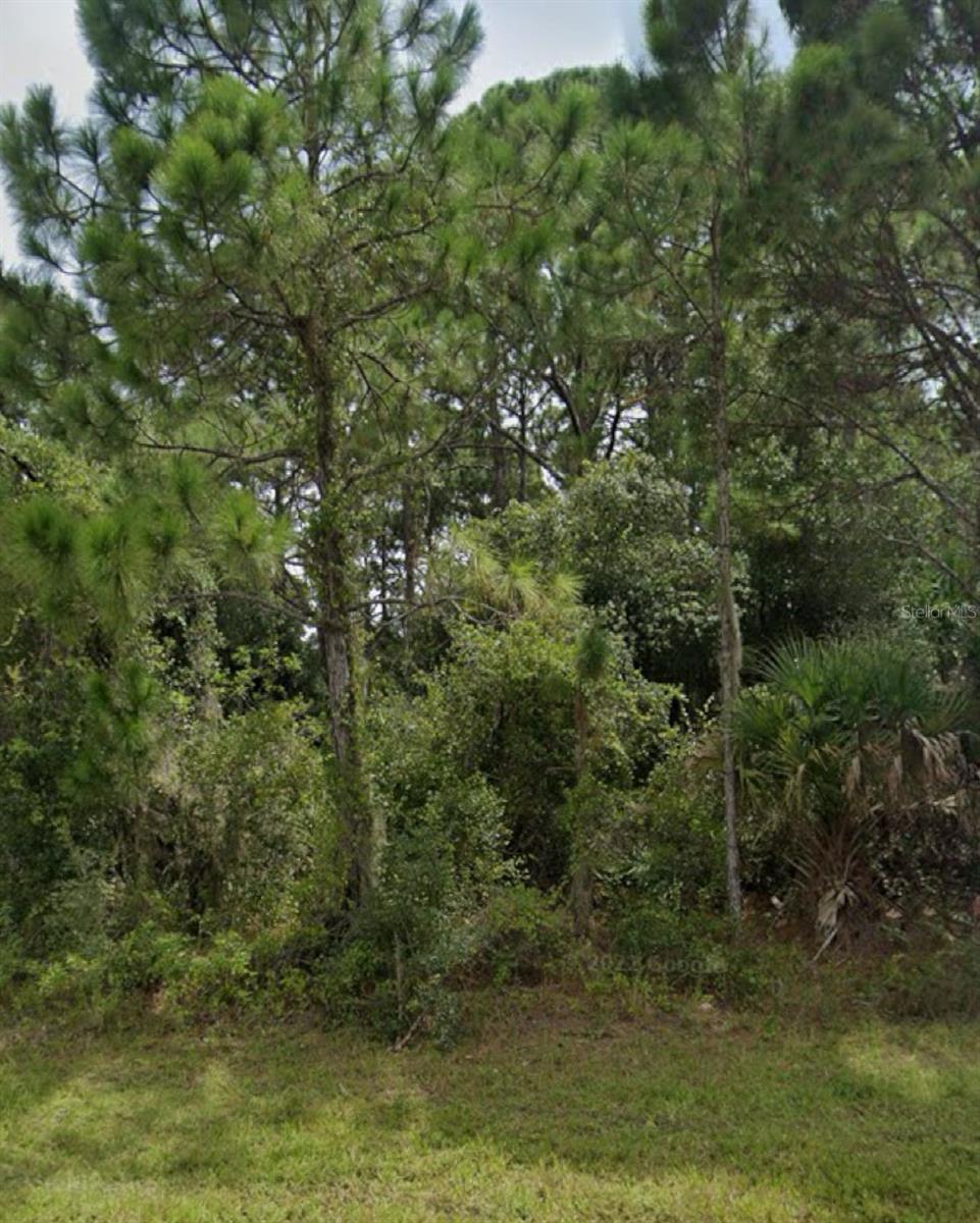13343 CHAMBERLAIN BLVD, PORT CHARLOTTE, FL — photo 2