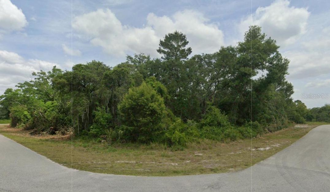 430 GRANT AVE NE, LAKE PLACID, FL