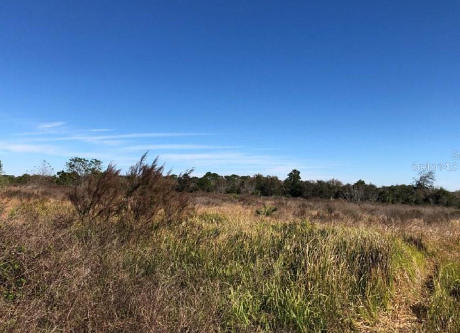 9221 NEW YORK AVE, HUDSON, FL — photo 13