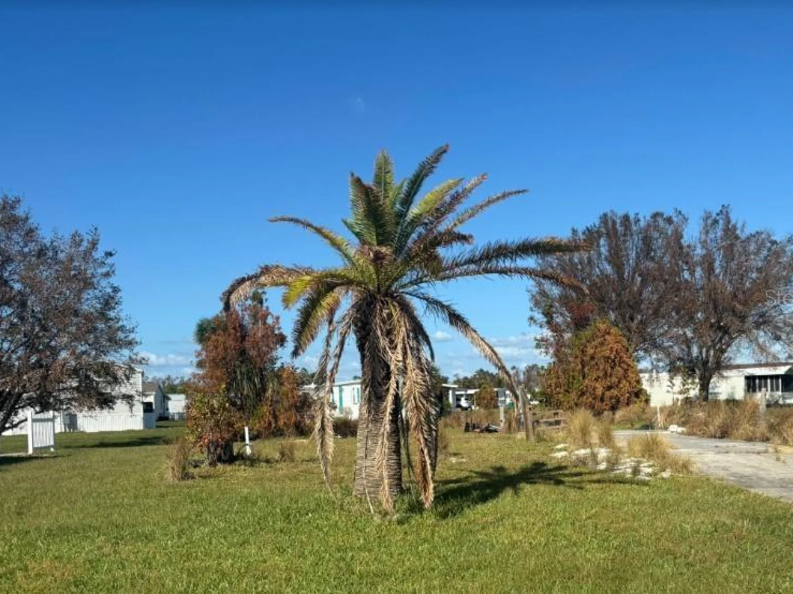 7416 WIDNESS LN, PORT CHARLOTTE, FL — photo 8