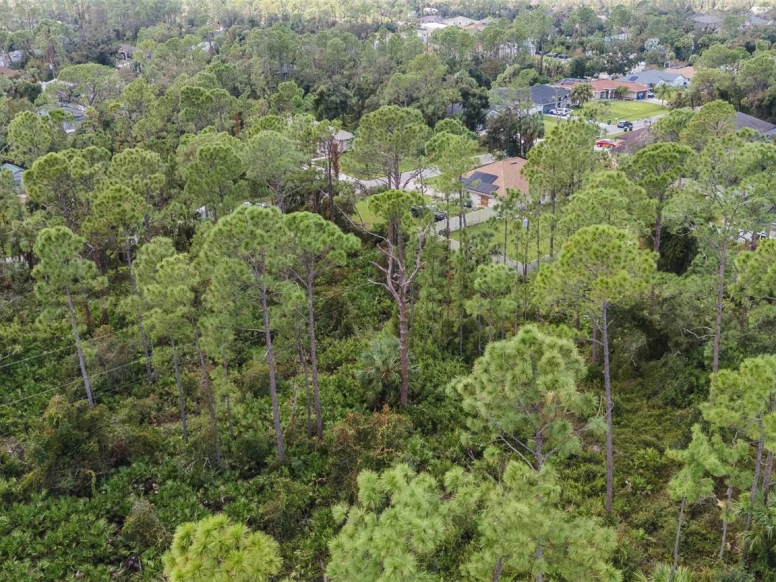 SUNBURST AVE, NORTH PORT, FL — photo 6
