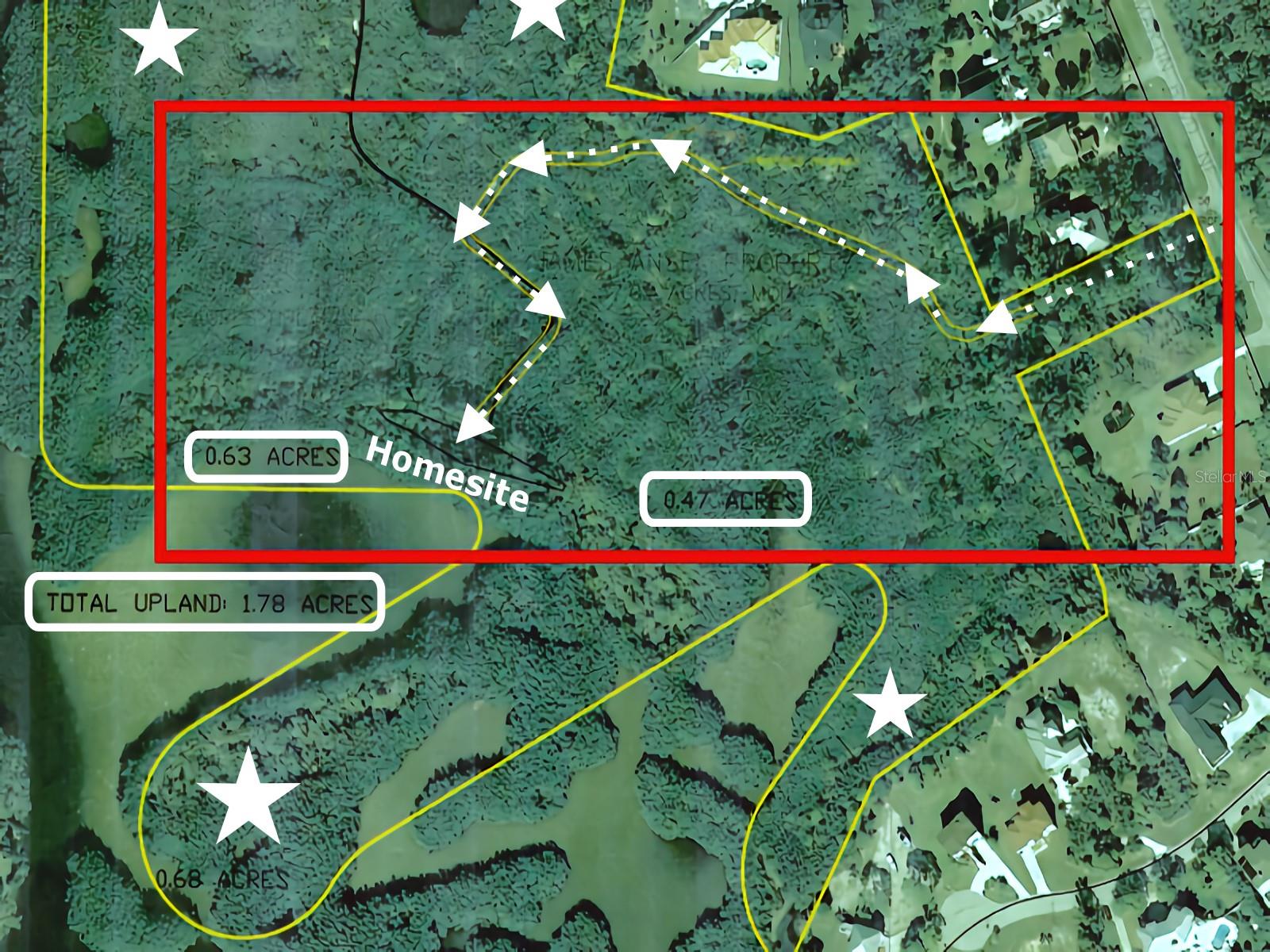 , ST PETERSBURG, FL — photo 2
