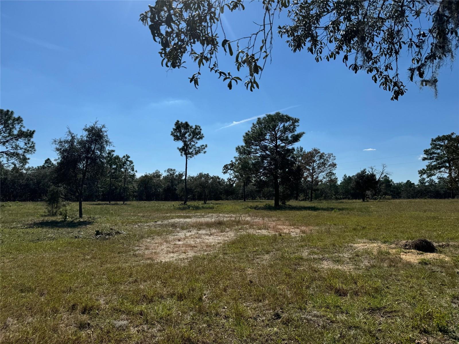 9437 N SINGAPORE AVE, DUNNELLON, FL — photo 58