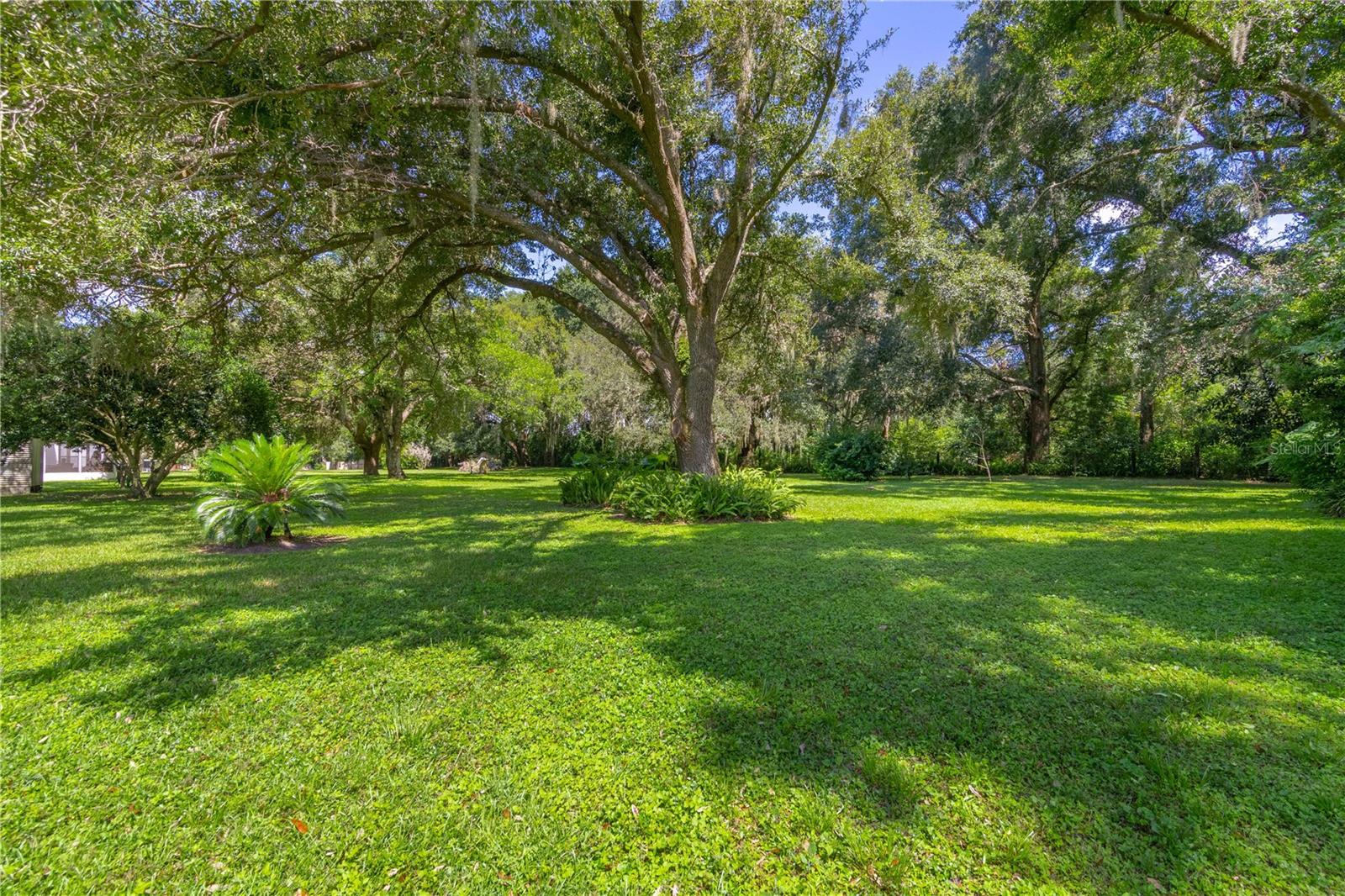 3778 E C-466 RD, OXFORD, FL — photo 11
