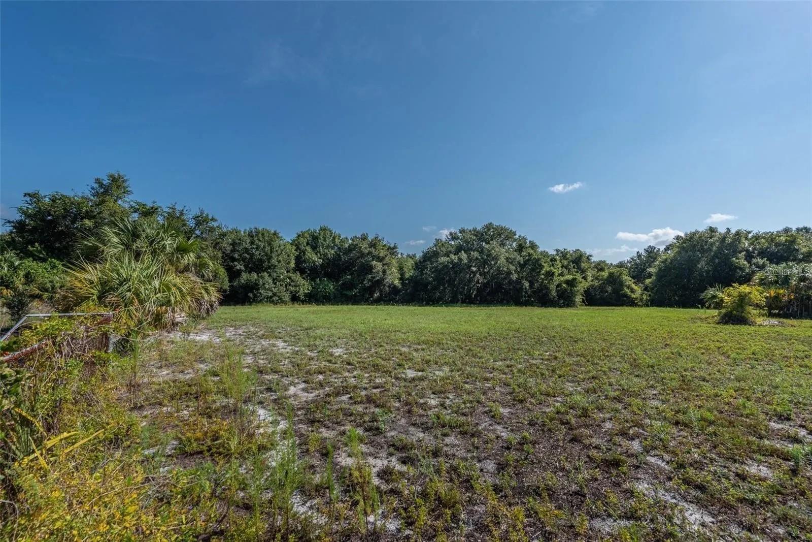 12154 BULLFROG CREEK RD, GIBSONTON, FL — photo 10