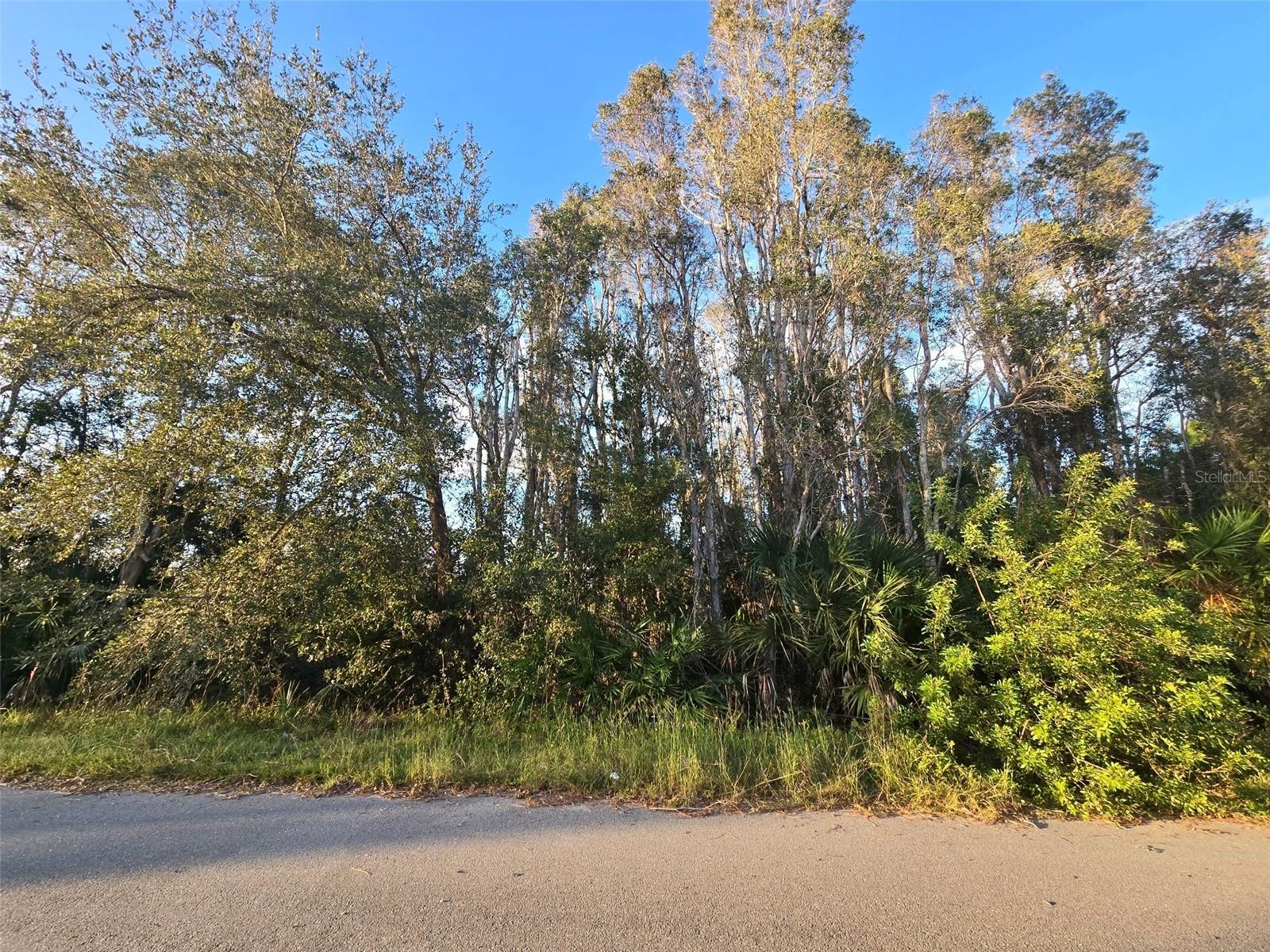 3402 39TH ST SW, LEHIGH ACRES, FL