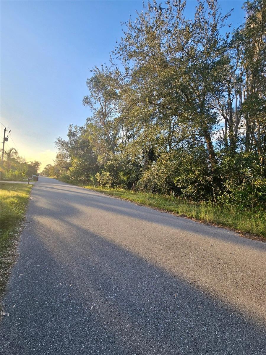 3402 39TH ST SW, LEHIGH ACRES, FL — photo 2