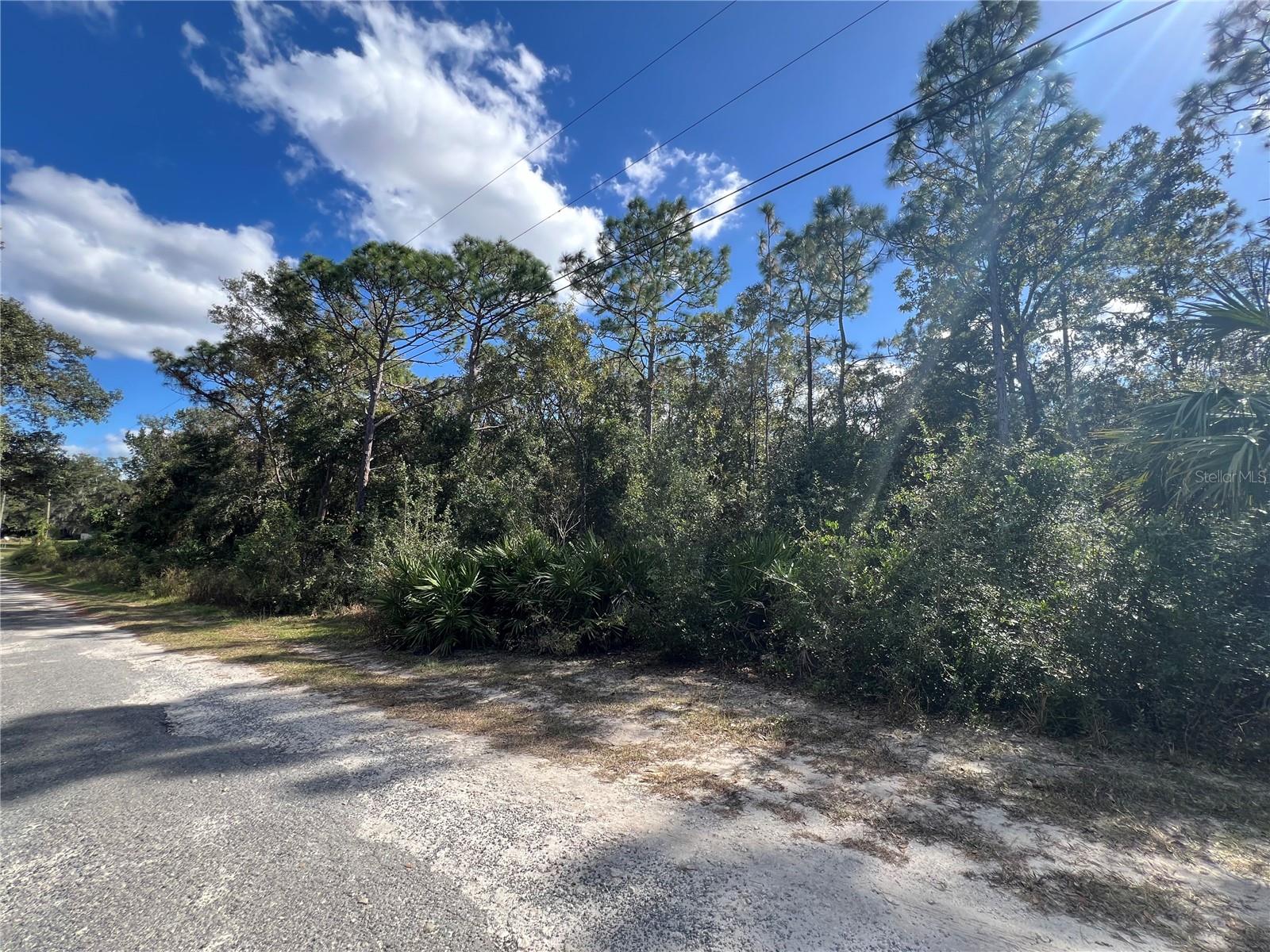 5650 W KETTLE LN, CRYSTAL RIVER, FL — photo 3