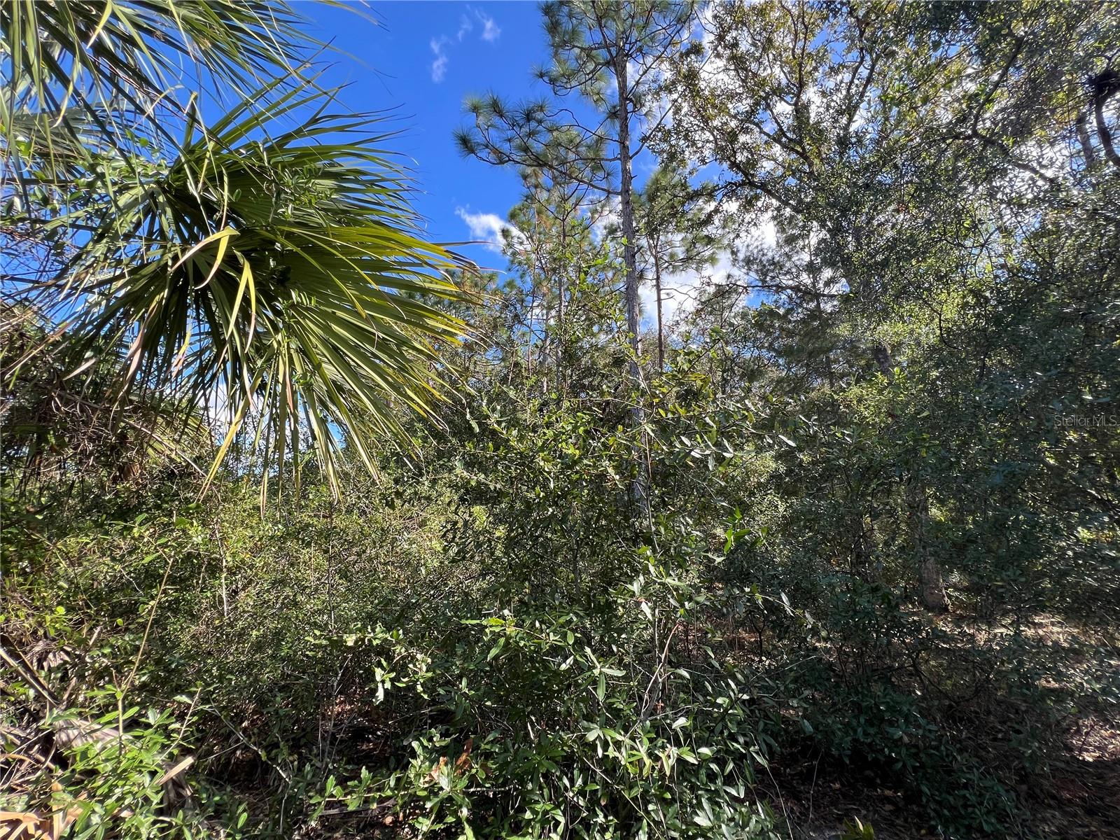 5650 W KETTLE LN, CRYSTAL RIVER, FL — photo 11