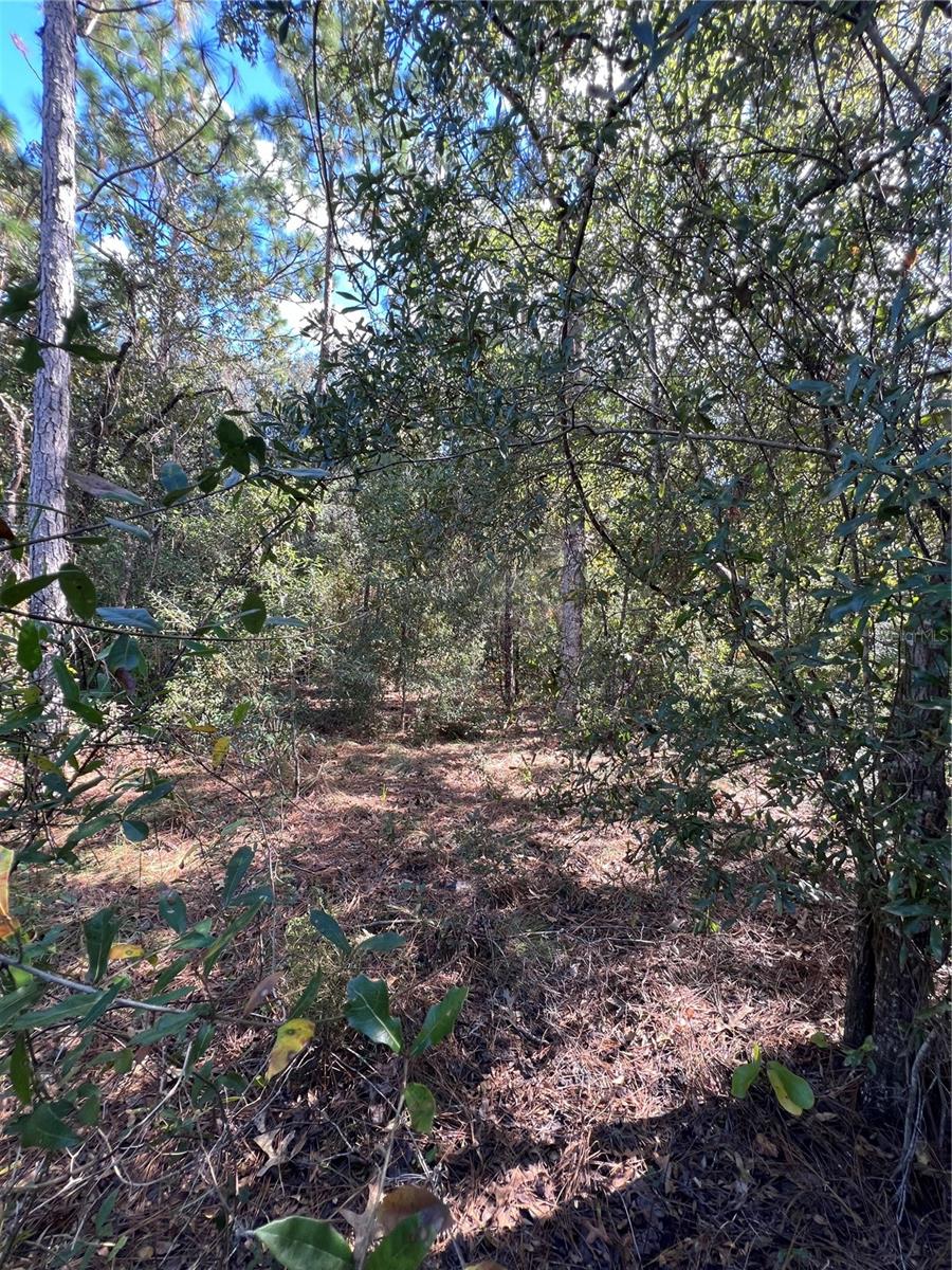 5650 W KETTLE LN, CRYSTAL RIVER, FL — photo 16