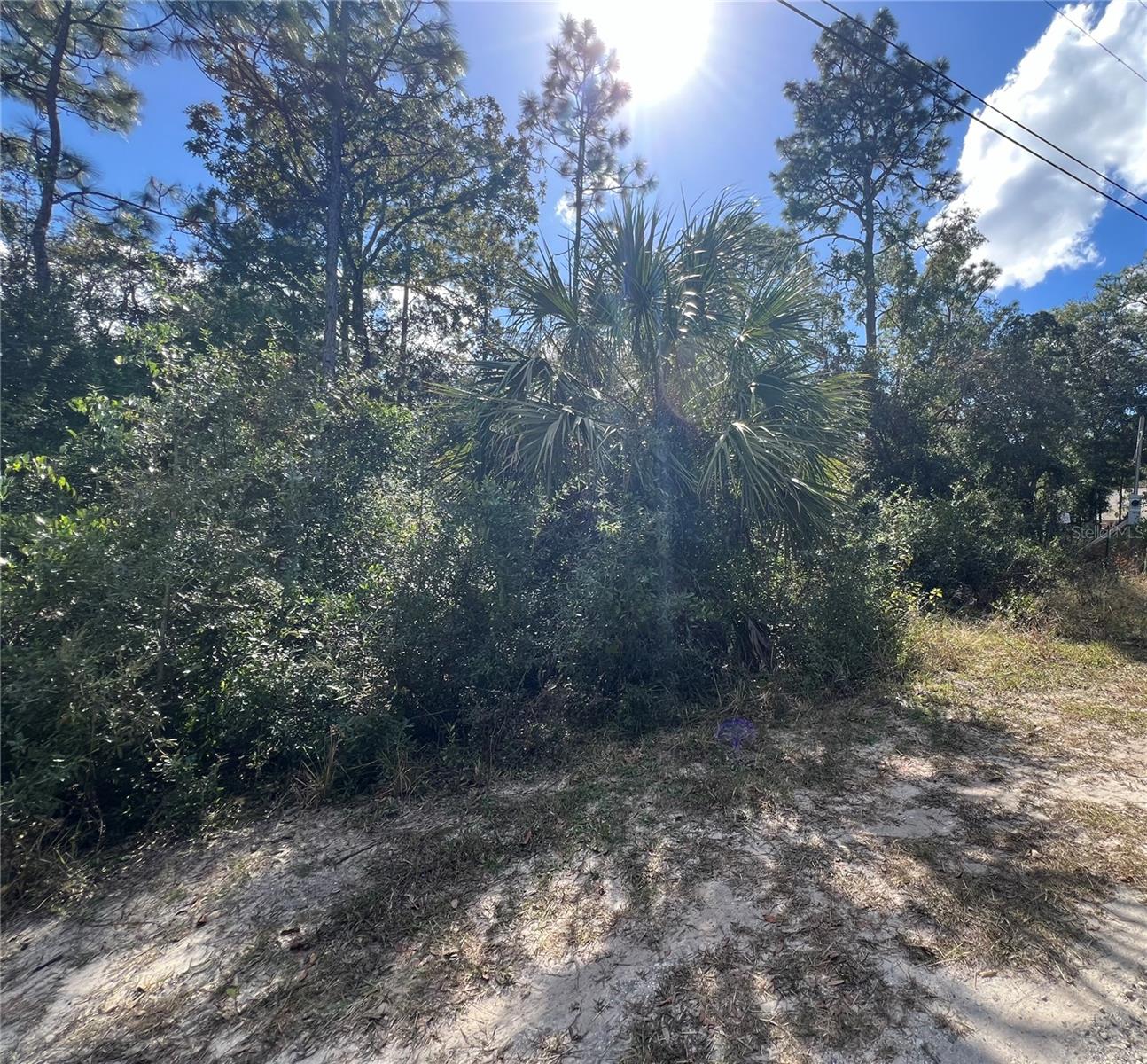 5650 W KETTLE LN, CRYSTAL RIVER, FL — photo 4