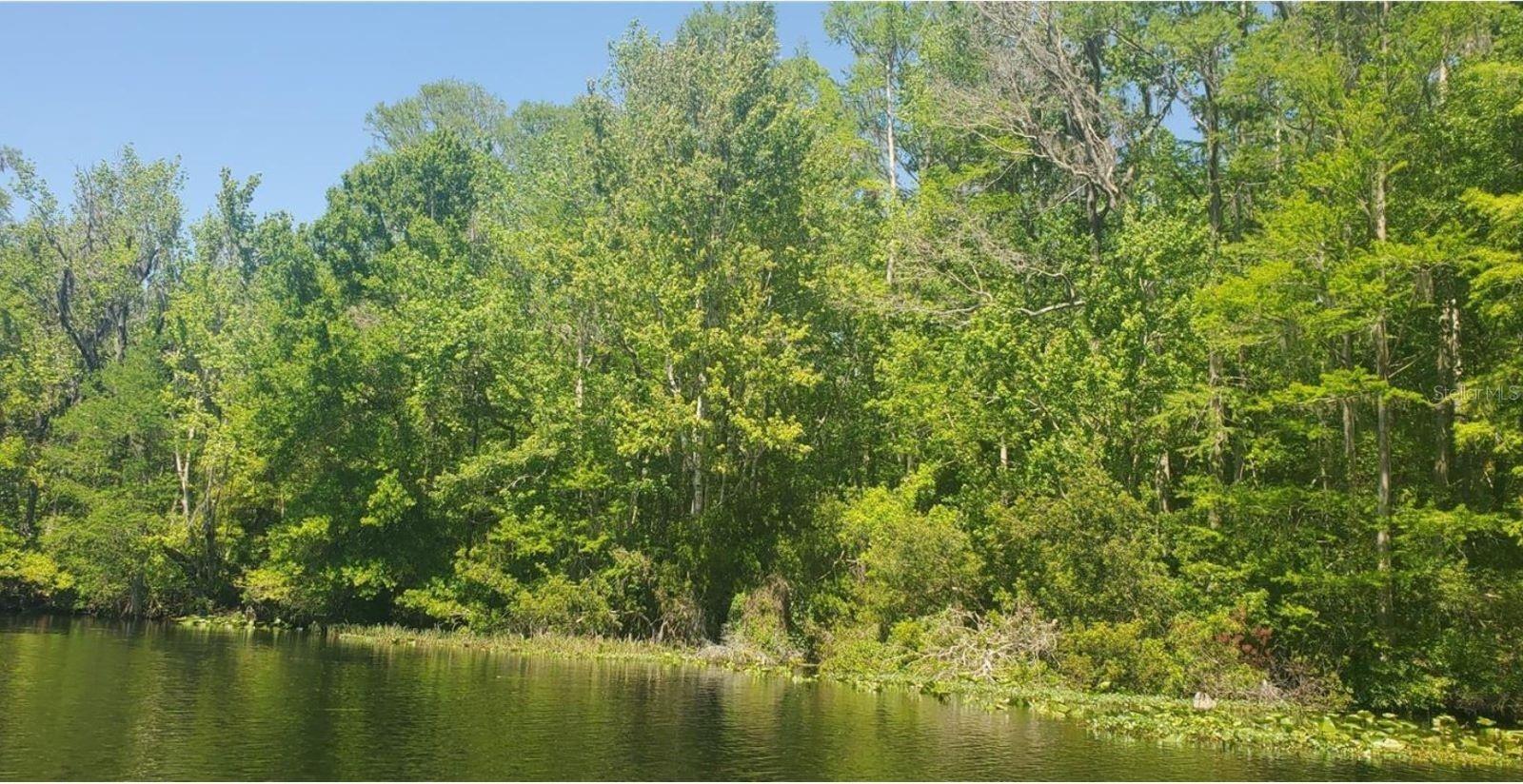 00 W HIGHWAY 40, DUNNELLON, FL — photo 3
