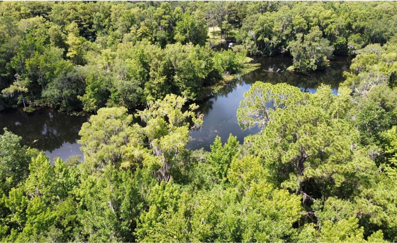 00 W HIGHWAY 40, DUNNELLON, FL — photo 4