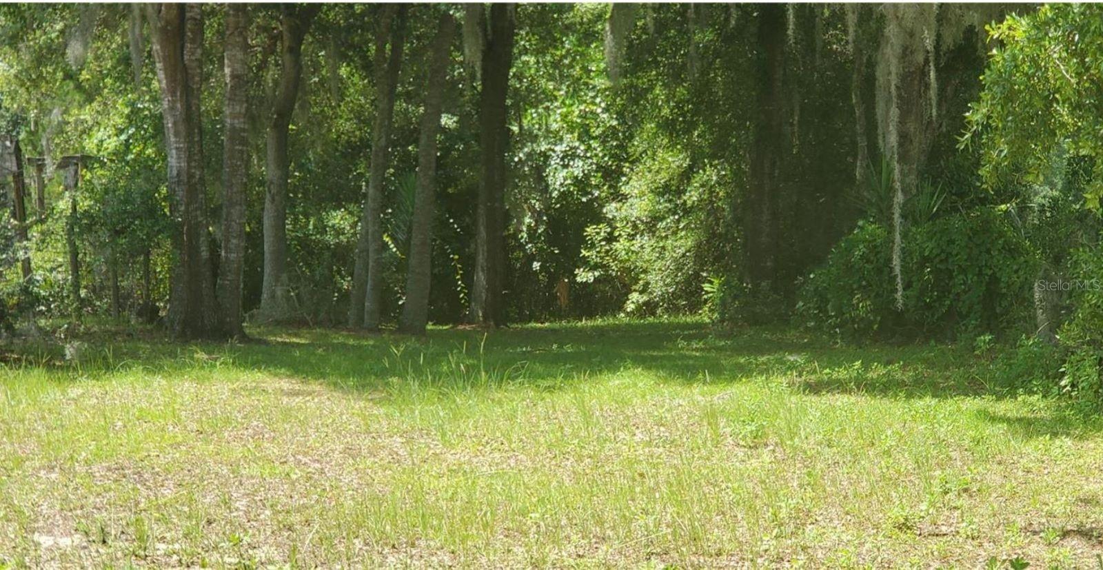 00 W HIGHWAY 40, DUNNELLON, FL — photo 7