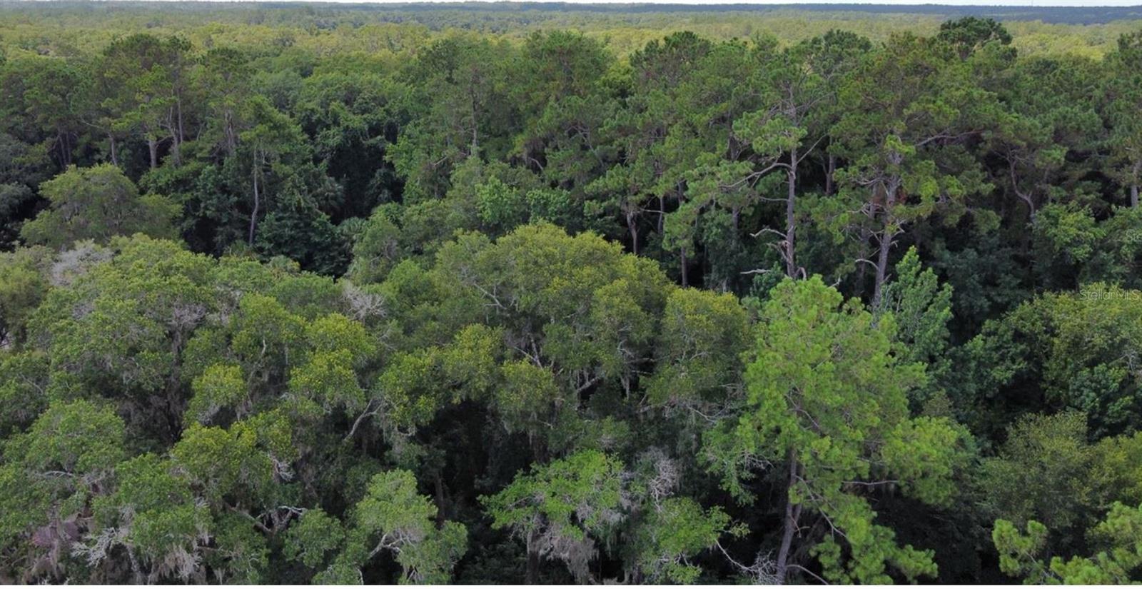 00 W HIGHWAY 40, DUNNELLON, FL — photo 10