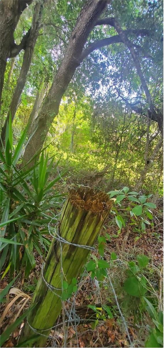 00 W HIGHWAY 40, DUNNELLON, FL — photo 13