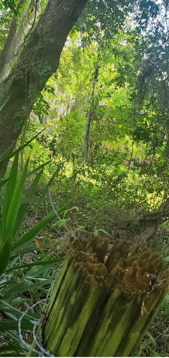 00 W HIGHWAY 40, DUNNELLON, FL — photo 14