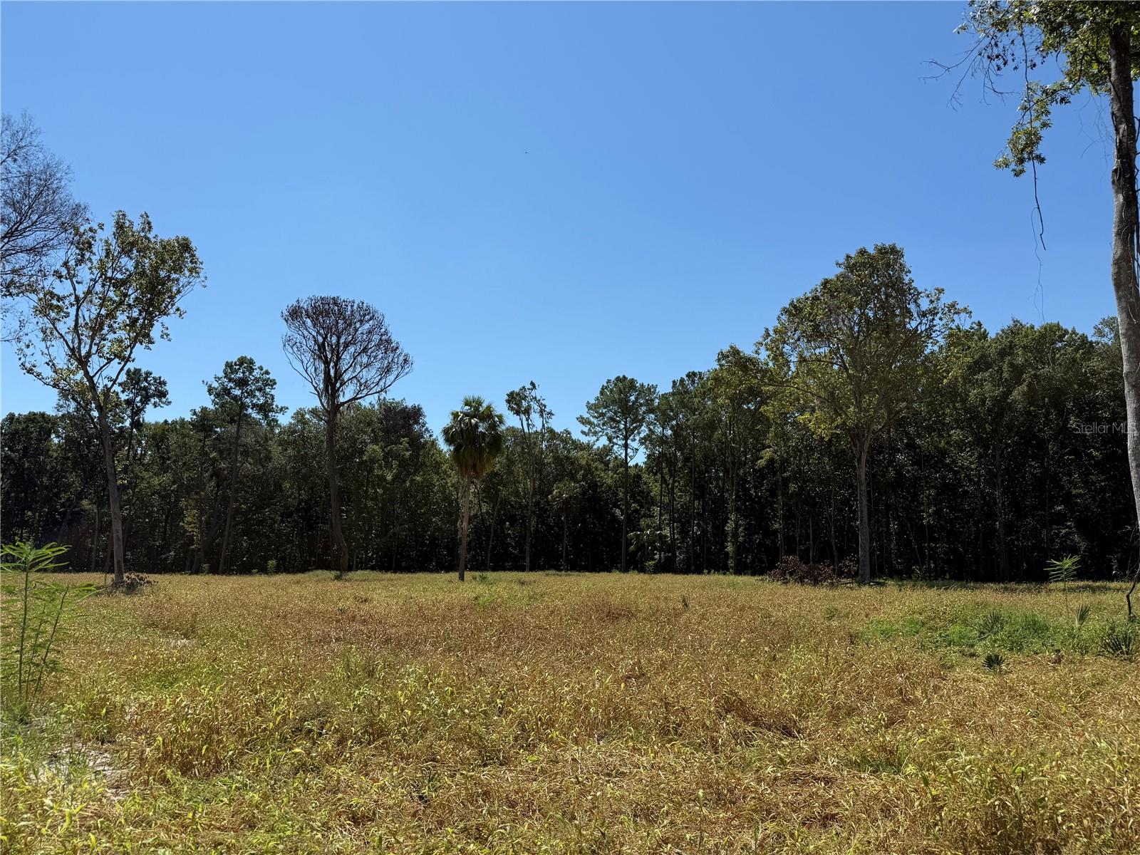 62ac NW 193RD ST, MICANOPY, FL — photo 3