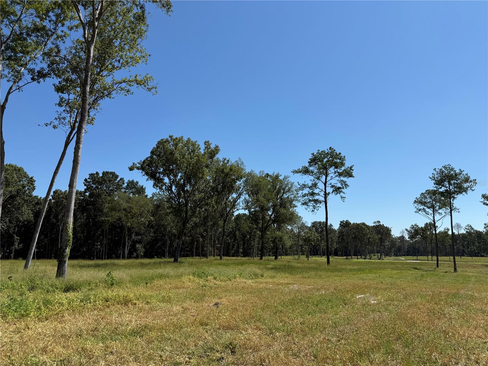 62ac NW 193RD ST, MICANOPY, FL — photo 9
