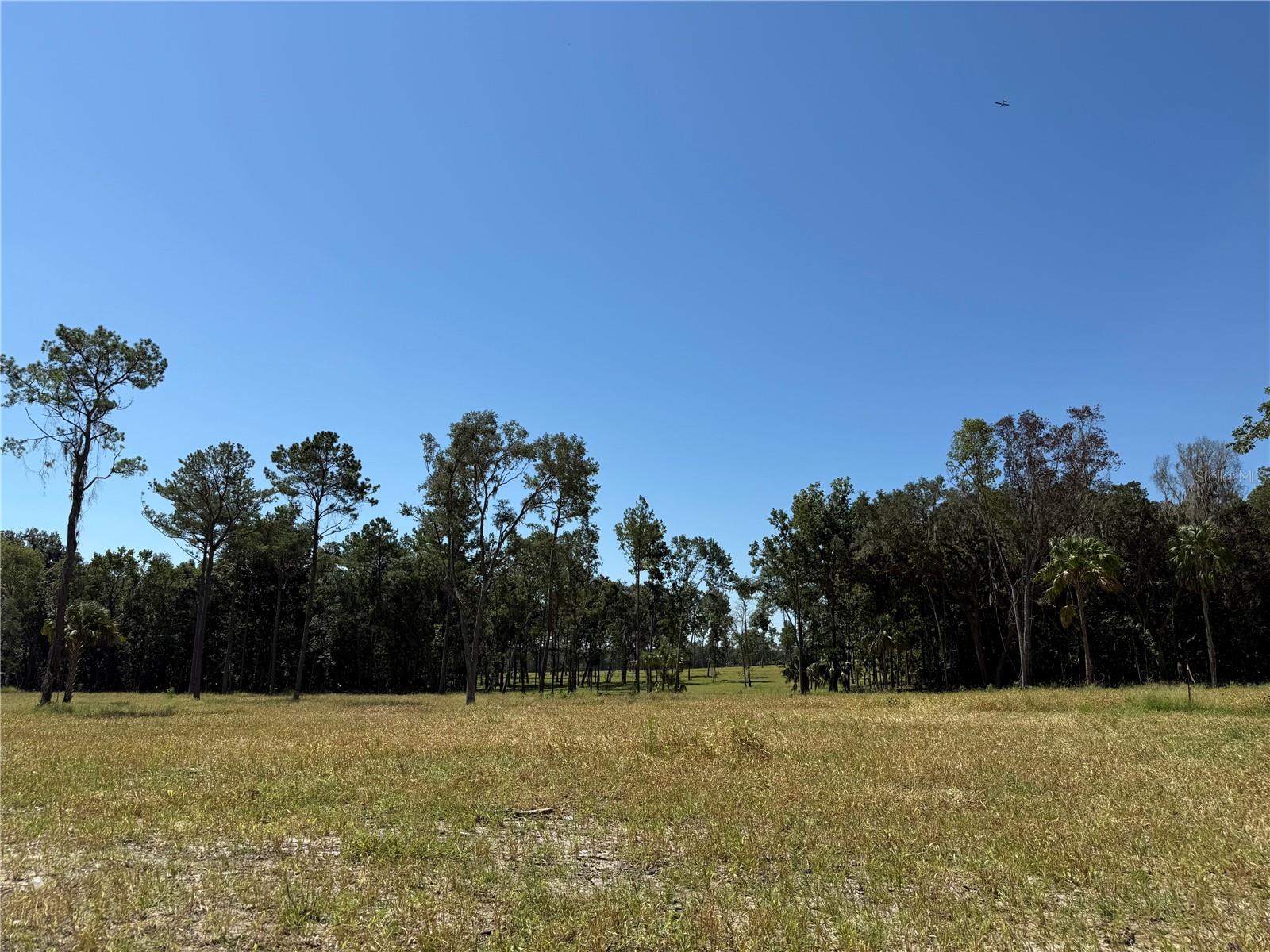 62ac NW 193RD ST, MICANOPY, FL — photo 11