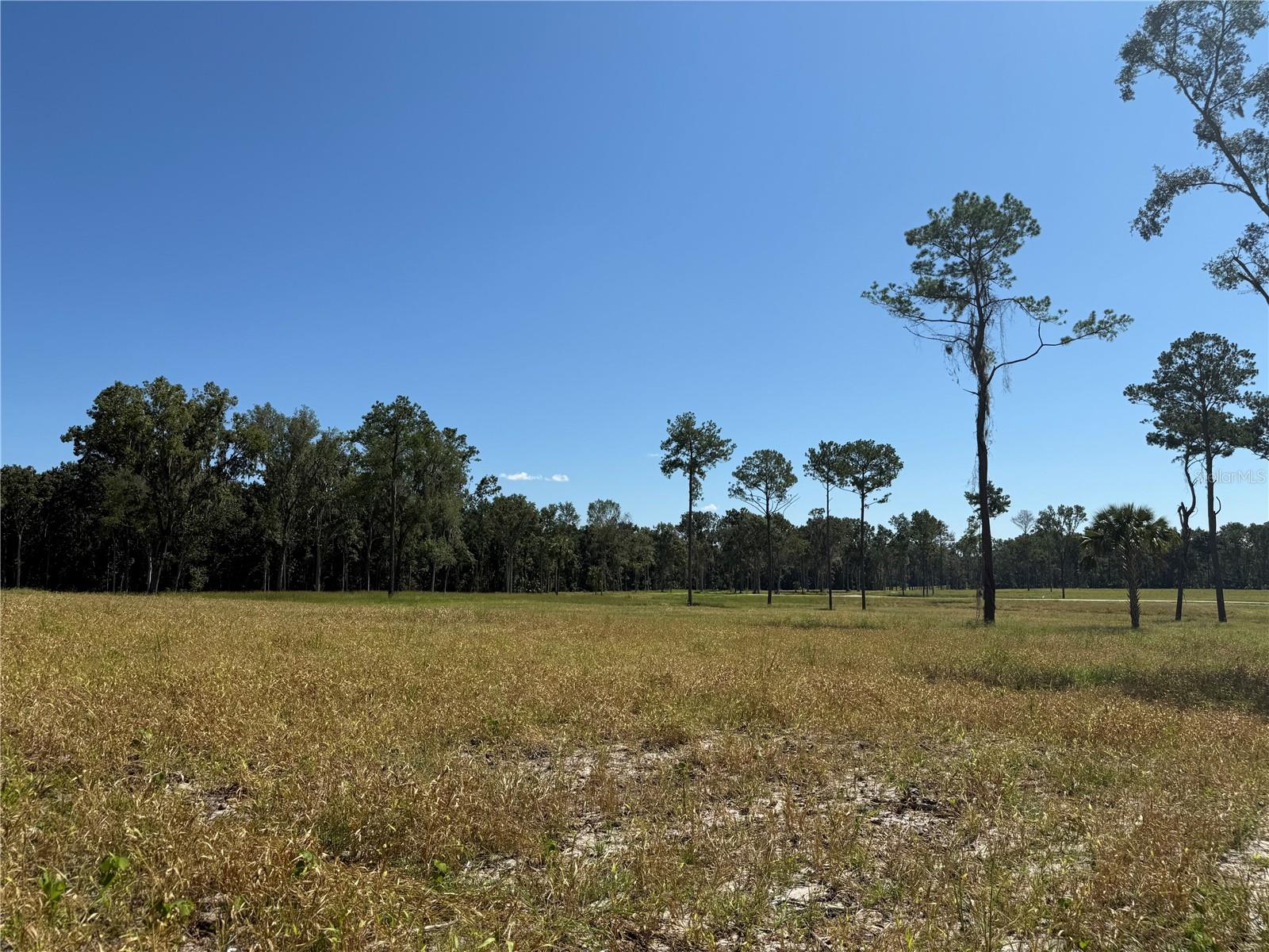 62ac NW 193RD ST, MICANOPY, FL — photo 14