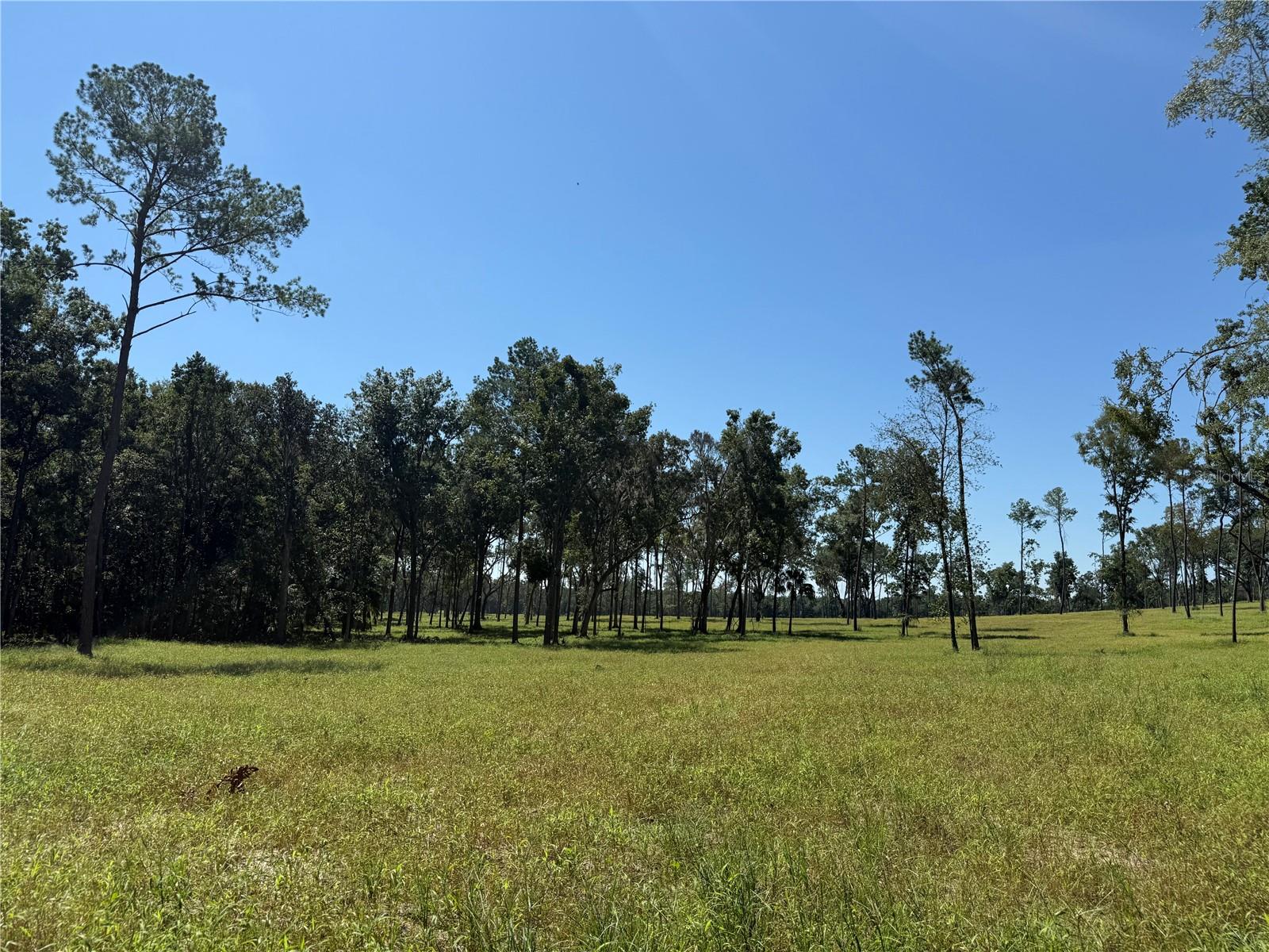 62ac NW 193RD ST, MICANOPY, FL — photo 15