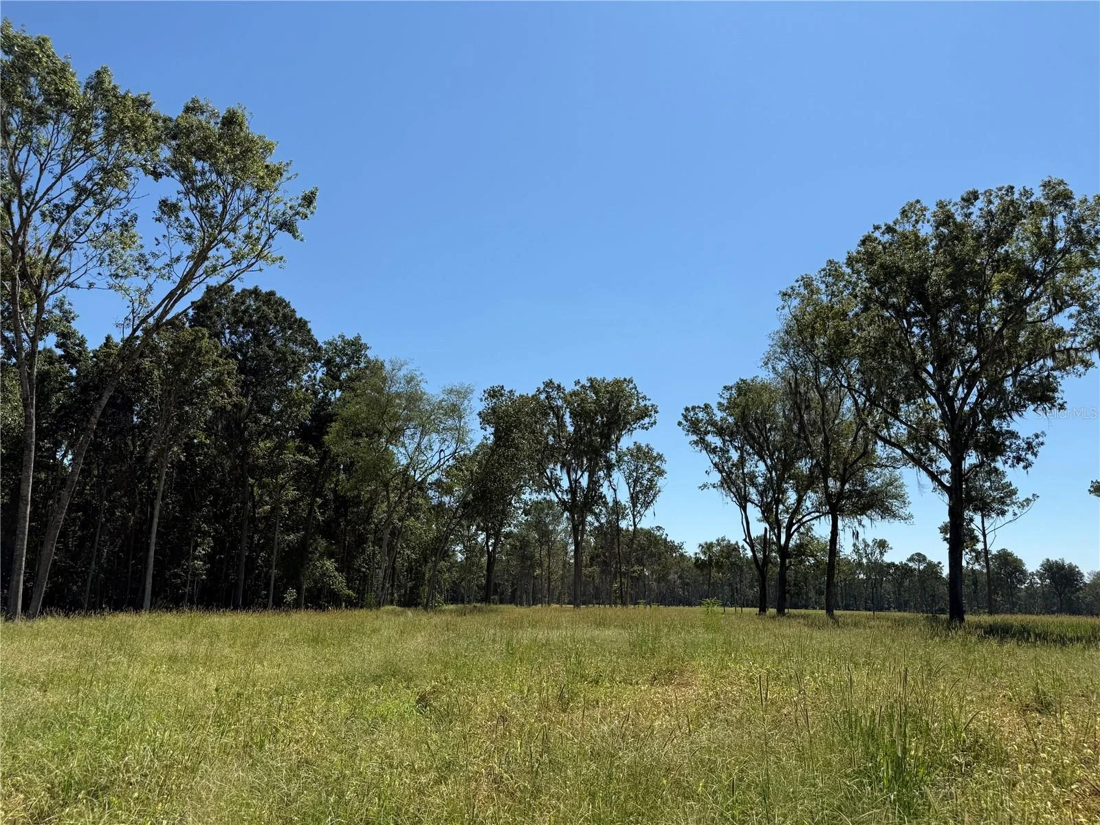 84ac NW 193RD ST, MICANOPY, FL — photo 5