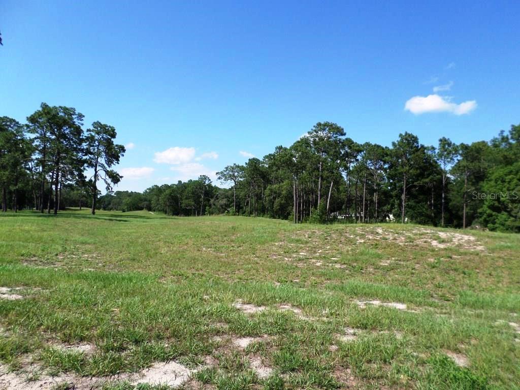 8518 SW 189TH COURT RD, DUNNELLON, FL — photo 12