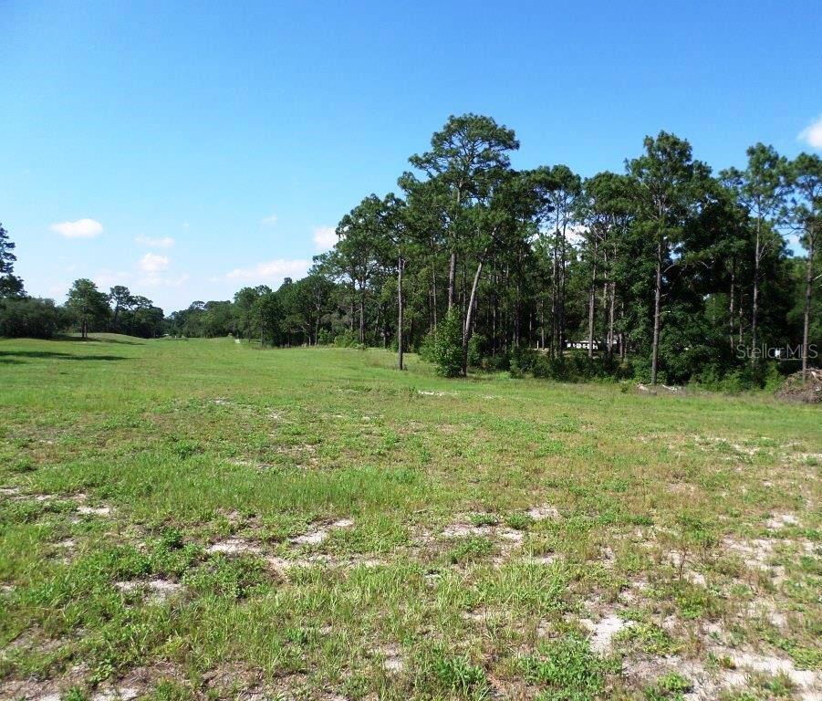 8518 SW 189TH COURT RD, DUNNELLON, FL — photo 13
