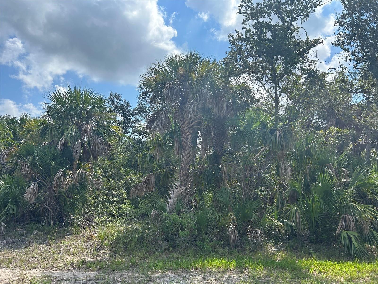 3288 MONARCH ST, PORT CHARLOTTE, FL — photo 7