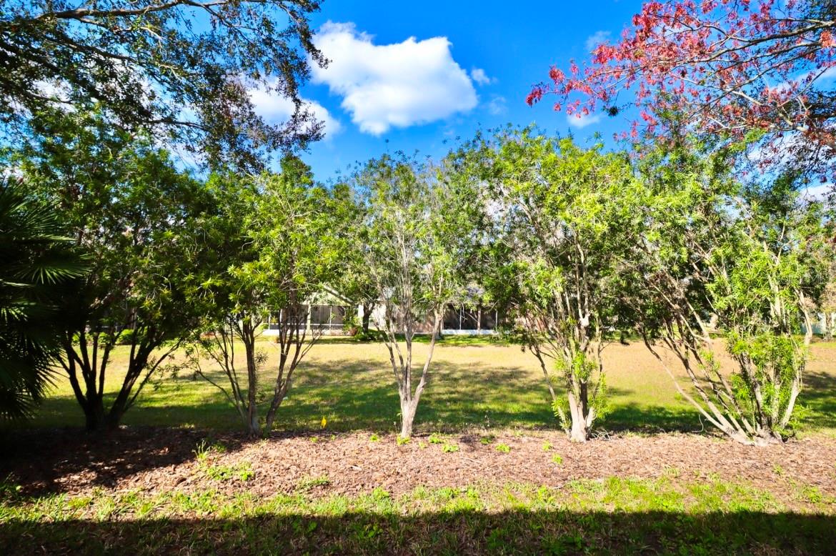 119 CRESCENT MOON DR, GROVELAND, FL — photo 43