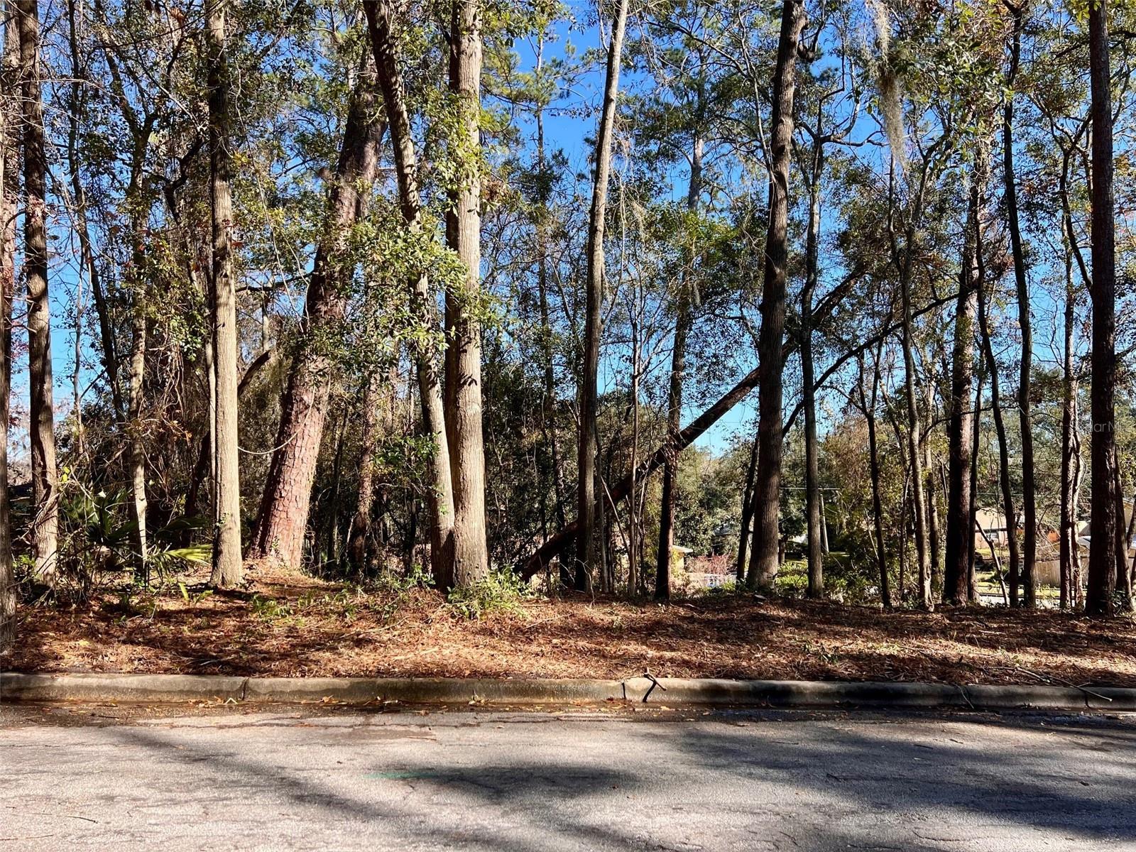 TBD NW 52ND TER, GAINESVILLE, FL — photo 6
