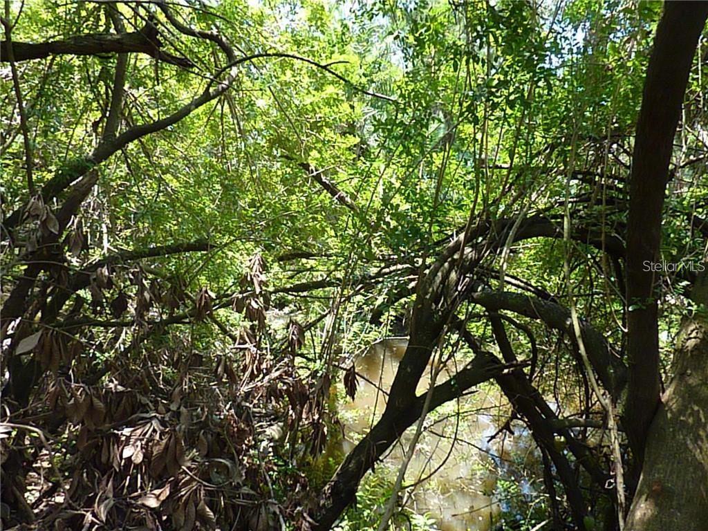 MANATI AVE, NORTH PORT, FL — photo 5
