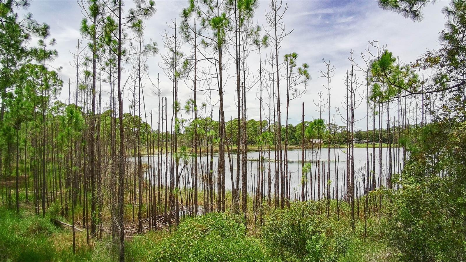 , DELTONA, FL — photo 2