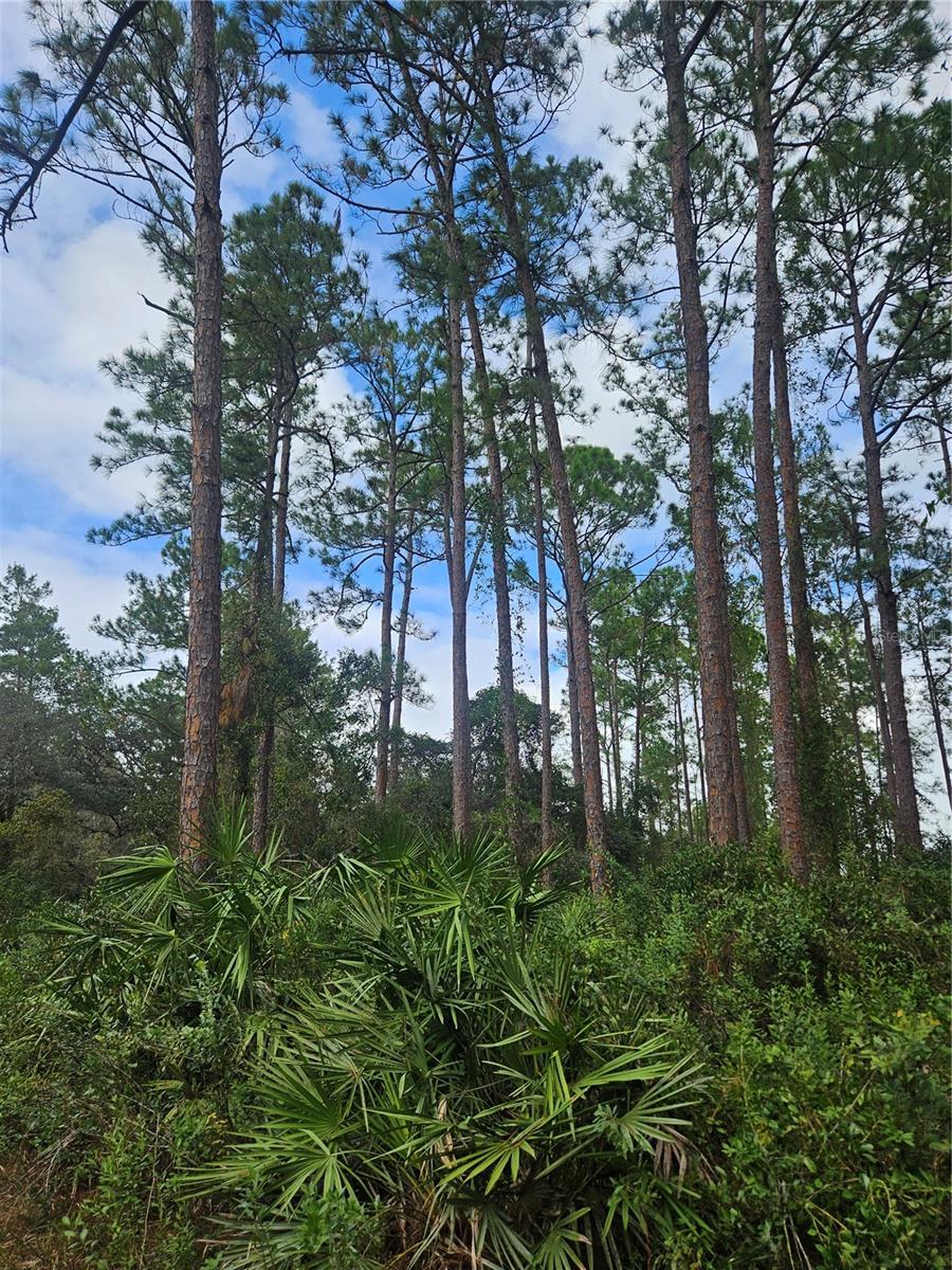 , DELTONA, FL — photo 38