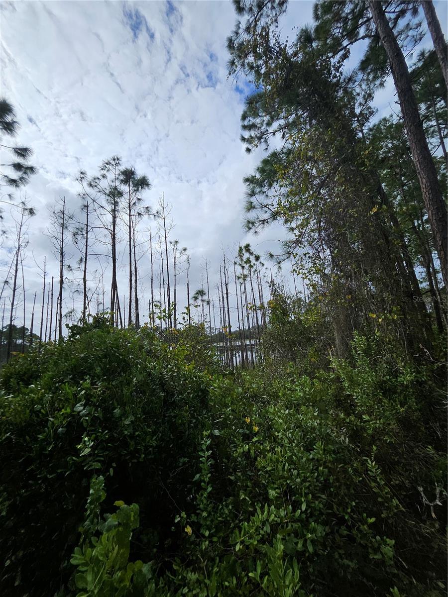 , DELTONA, FL — photo 14