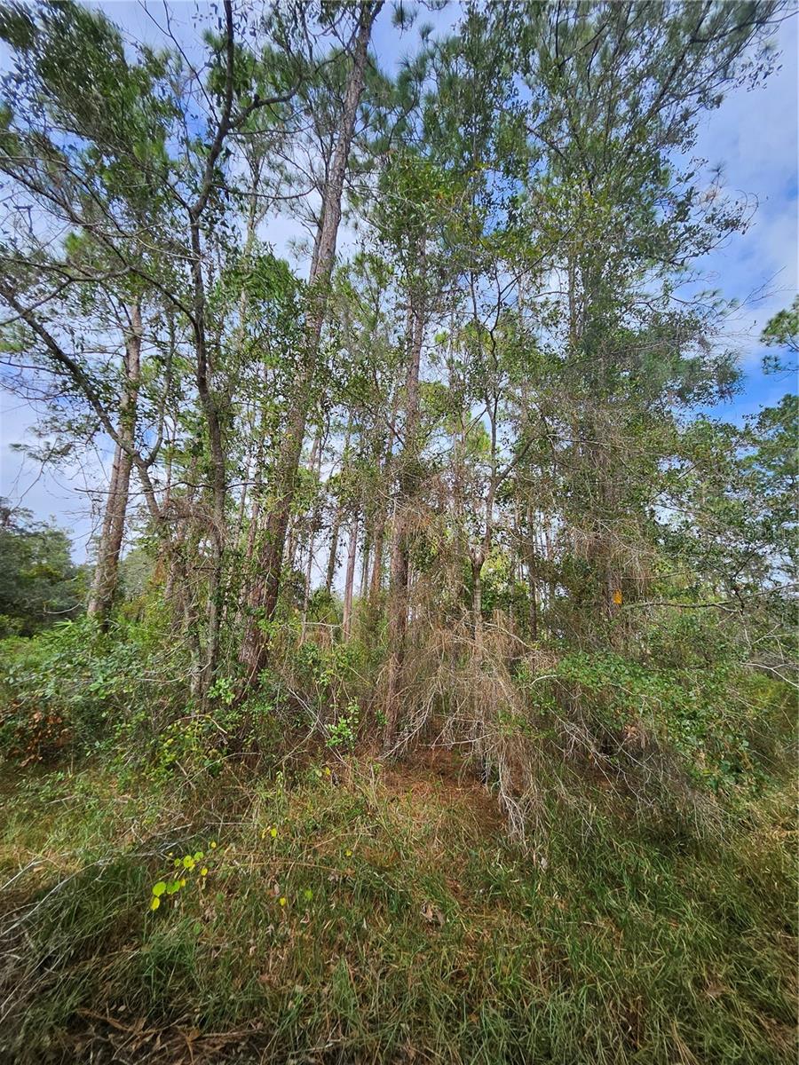 , DELTONA, FL — photo 16