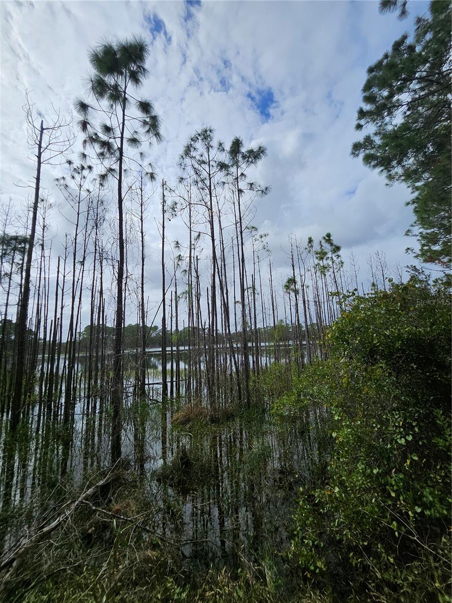 , DELTONA, FL — photo 17