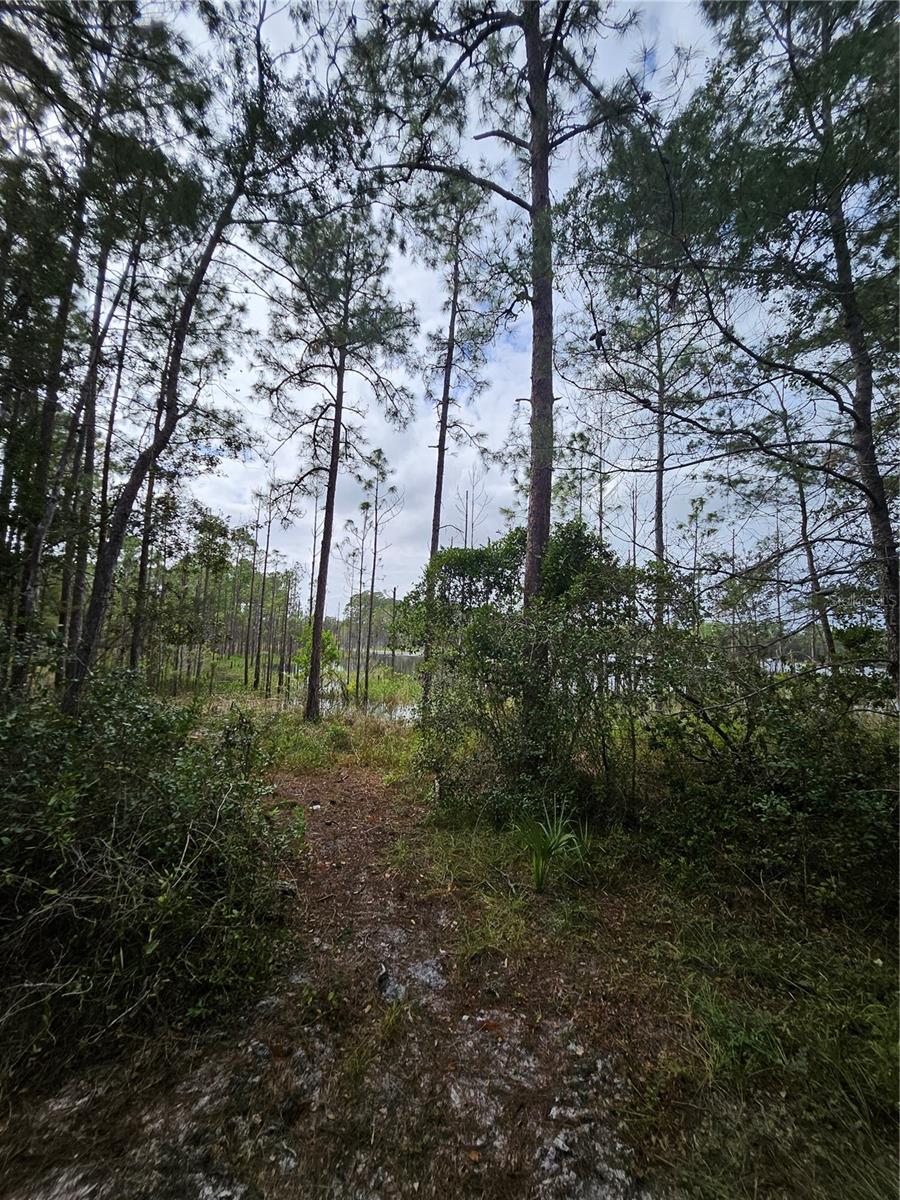 , DELTONA, FL — photo 18