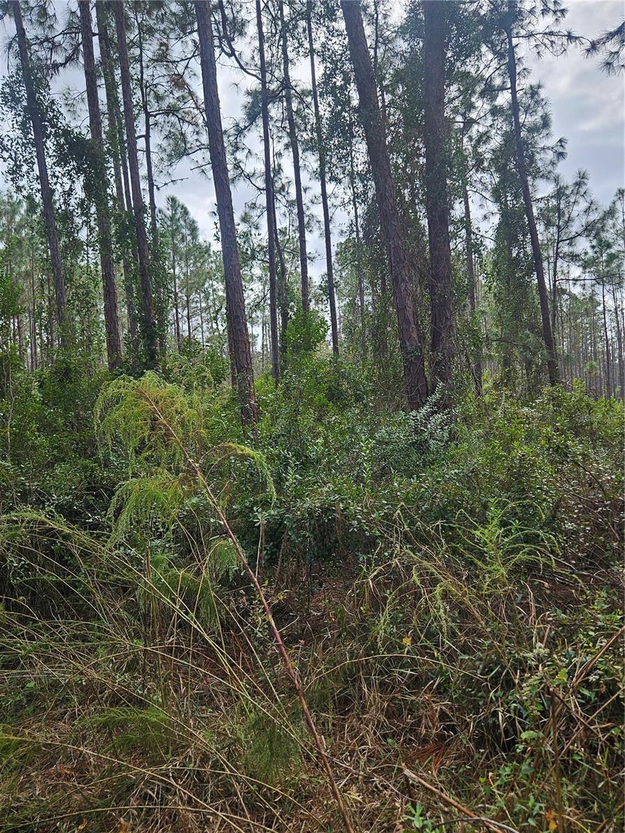 , DELTONA, FL — photo 19
