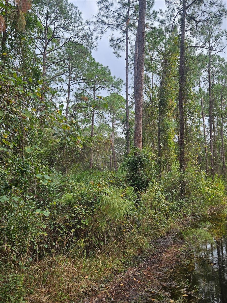 , DELTONA, FL — photo 8