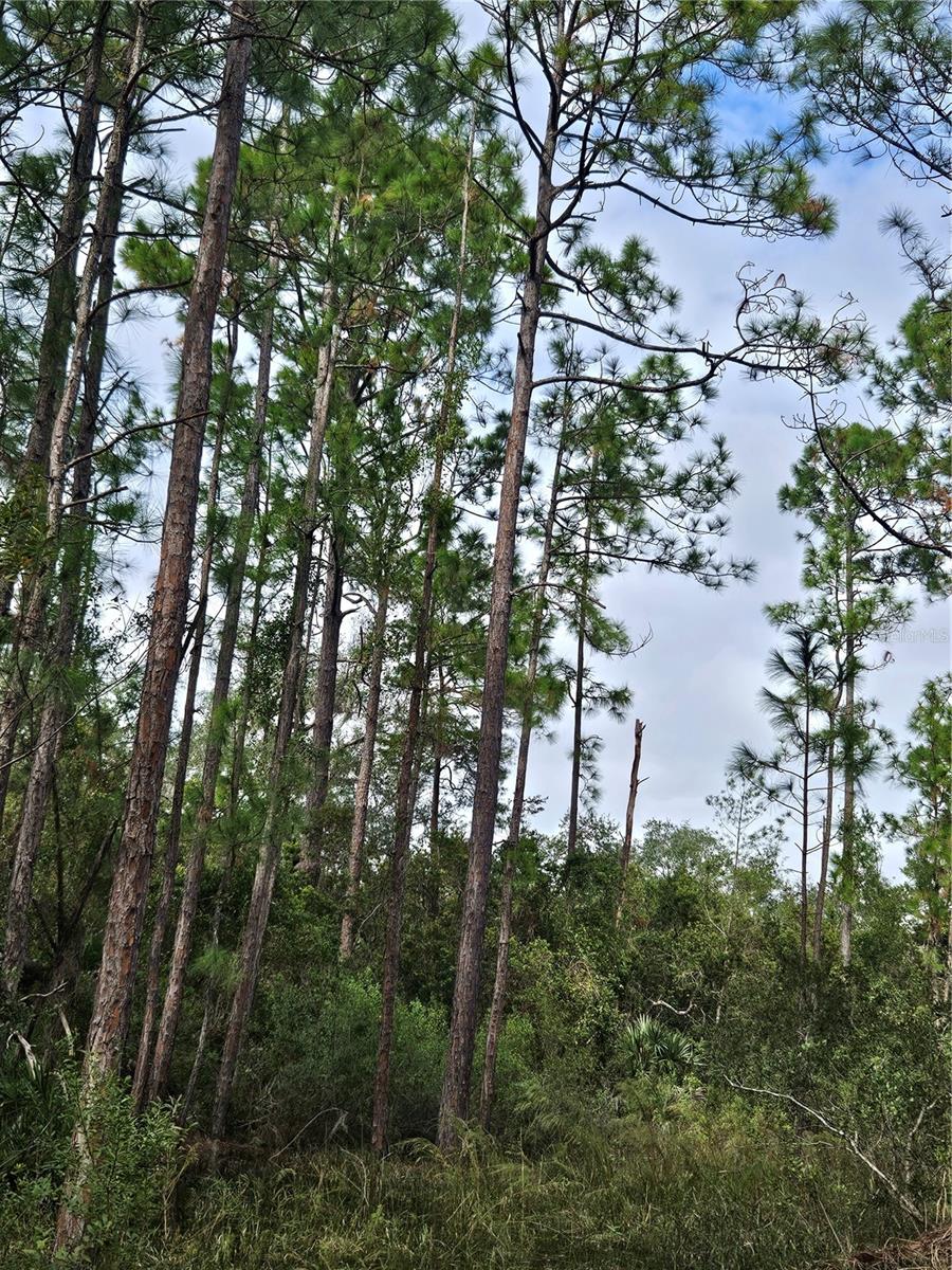, DELTONA, FL — photo 21