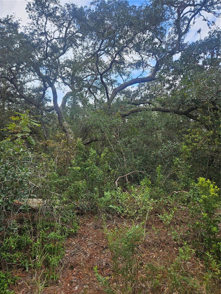 , DELTONA, FL — photo 25