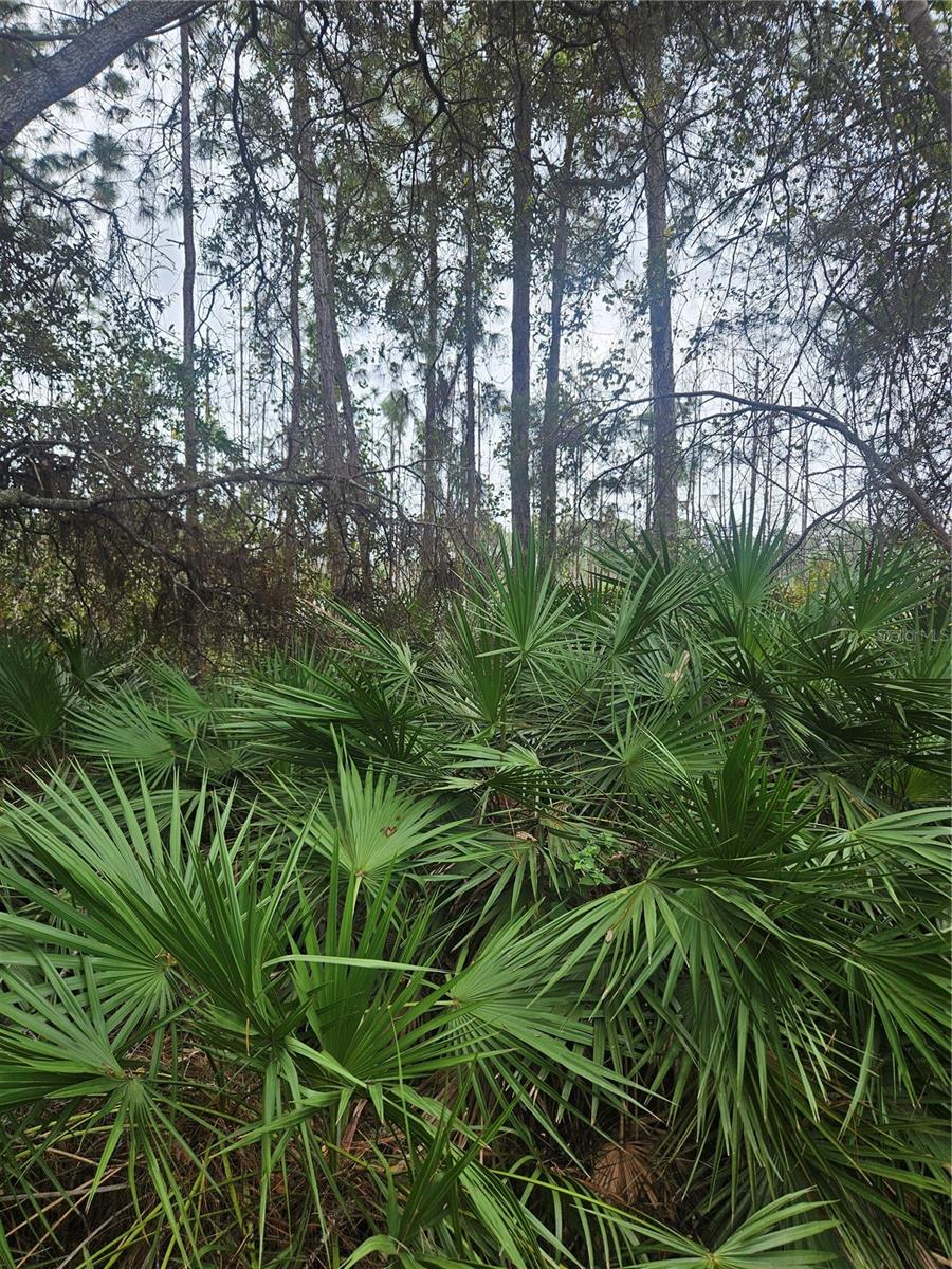 , DELTONA, FL — photo 26