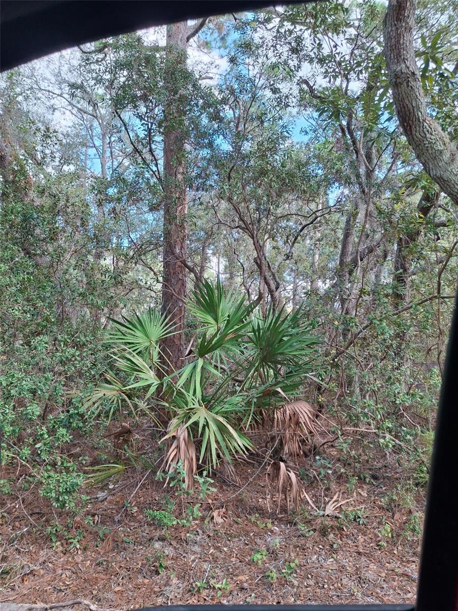 , DELTONA, FL — photo 34